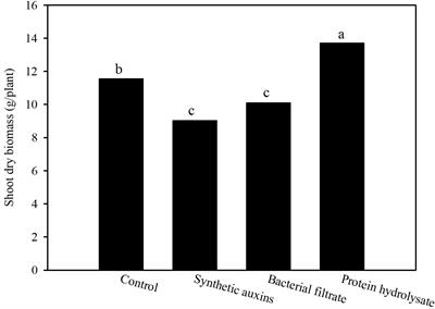 Plant biostimulants as natural alternatives to synthetic auxins in strawberry production: physiological and metabolic insights